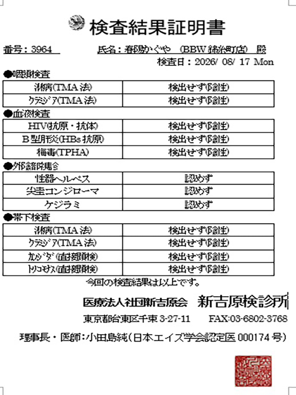 錦糸町ぽっちゃり風俗 BBW 春陽