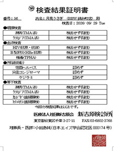 錦糸町ぽっちゃり風俗 BBW 月見